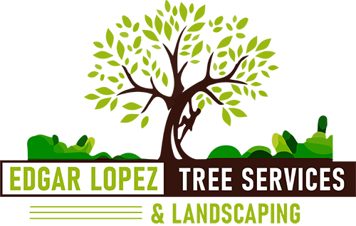 Edgar Lopez Tree Services & Landscaping