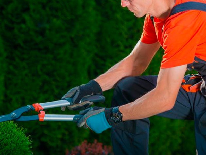 Gardening-1